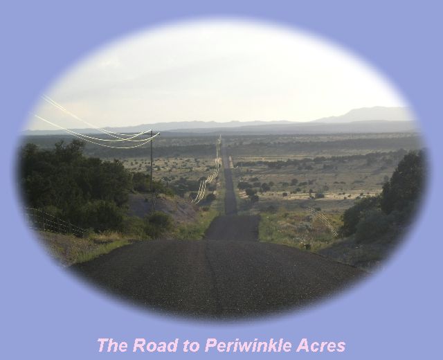 The Road to Periwinkle Acres